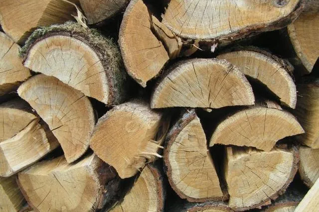 Хвойные дрова – далеко не лучший вариант для системы отопления дома