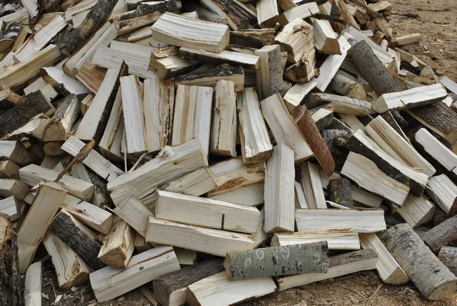 Осиновые дрова – эффективность их использования для отопления невысока