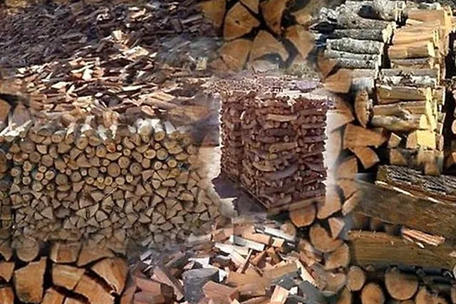 Разные виды дров могут весьма существенно различаться своими эксплуатационными характеристиками