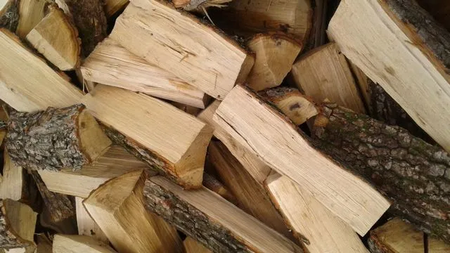 Дубовые дрова можно отнести к «элите», и стоимость их для многих домовладельцев является неподъемной