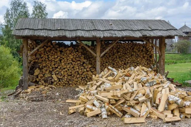 Одна из основных проблем – необходимость организации правильного хранения весьма больших по объему запасов дров, со всеми вытекающими трудностями.