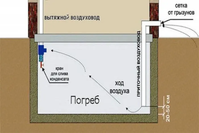 Погреб в доме